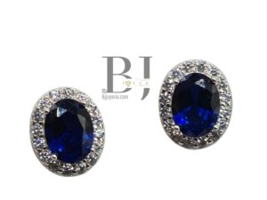 ELEGANT EARRINGS