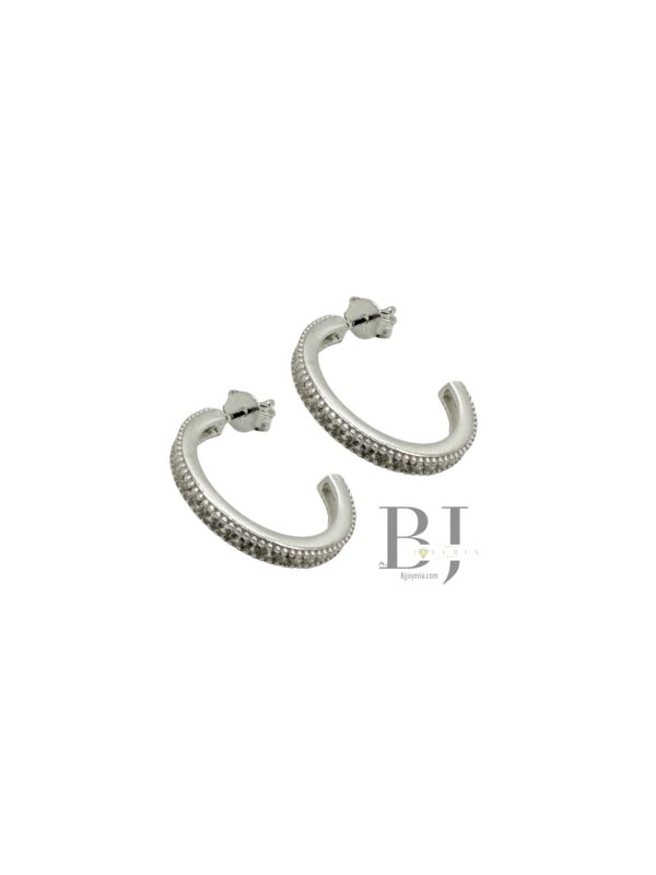 EARRINGS (0827)
