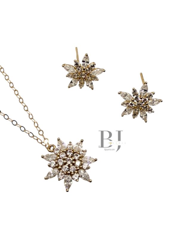 FLOWERS SET