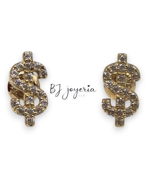 MONEY EARRINGS 14K (0523)